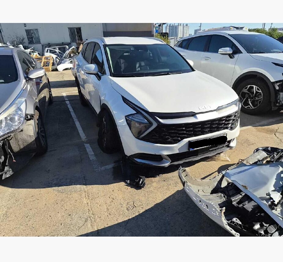 2023 Sportage