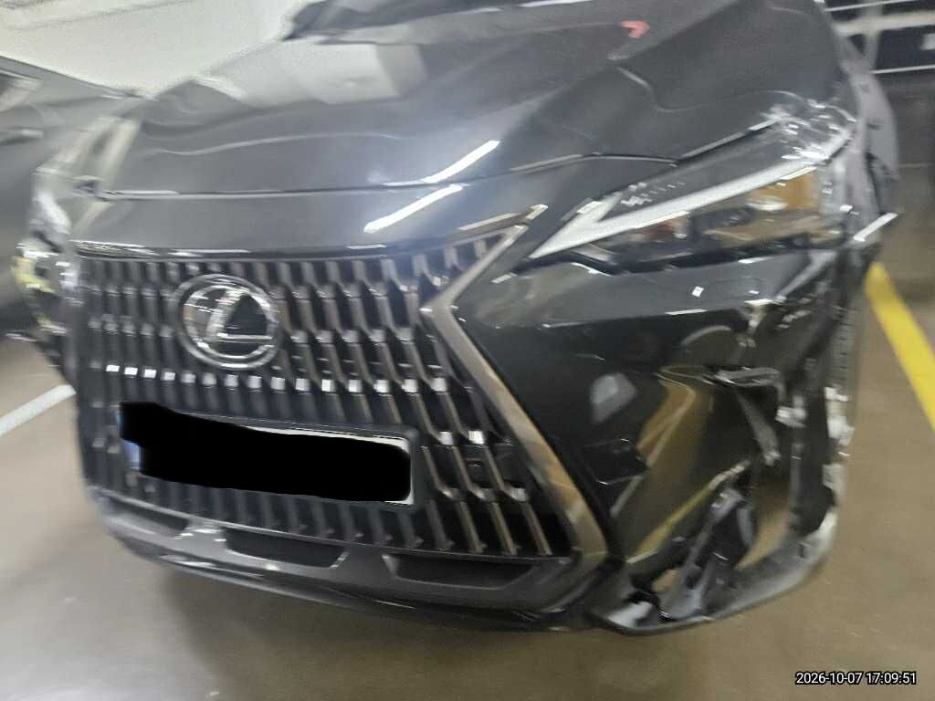 2025 NX350h